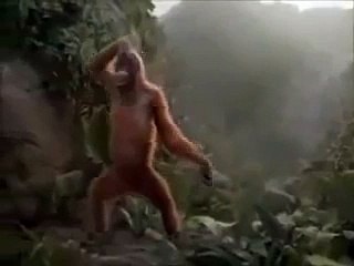 Vídeo divertido. ¡Ya llego el viernes!