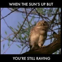 When The Sun Is Up And You're Still Raving