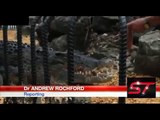 Timsah Oğlanın Elini Tuttu - Timsah - Crocodile Saldırısı - Funny Video - video Droles