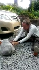 Yıllar Sonra Sahiplerini Gören 5 Hayvan - Funny Video - video Droles