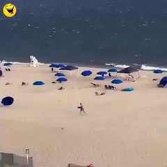 Mankind stands no chance