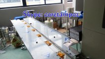 Preserved fruit packing machine