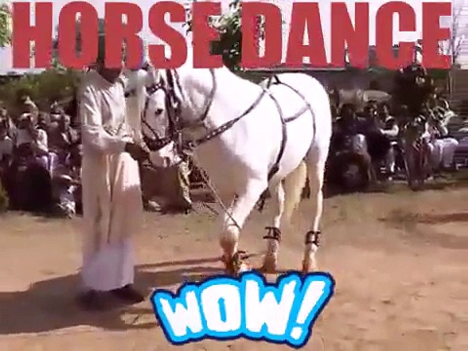 HORSE DANCE
