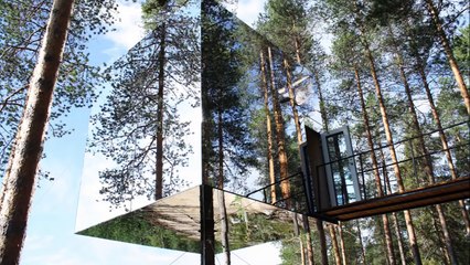 TOP 10 MOST AMAZING TREE HOUSES AROUND THE WORLD!