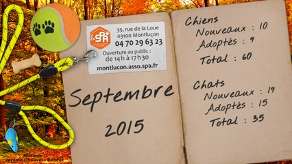 Un mois au refuge : septembre 2015