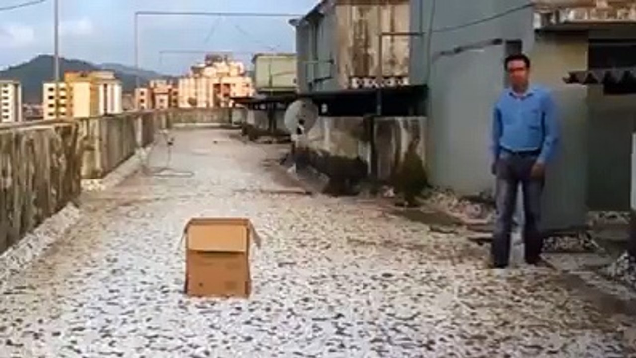 Amazing Magic Trick