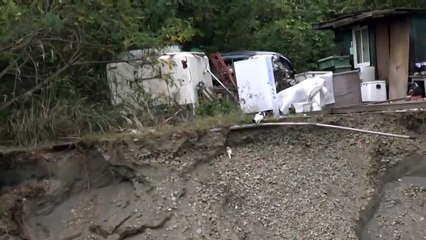Мама-кошка увидела, что ее котенок упал в яму
