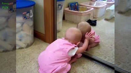 a funny catch phrase funny dog and cat memes