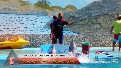 CUBA - ACUARIO BACANAO SANTIAGO DE CUBA 3/6  PARTE