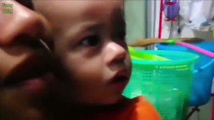 funny cat gifs funny dog pics