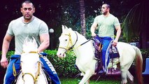 Salman Khan HORSE RIDING | SULTAN | Viral Pictures