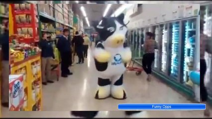Funny Dancing Cow Gives You Milk | Funny Animals