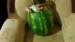 Funny Little Kid Watermelon Ke Ander Ghus Ke Watermelon Kha Raha Hai