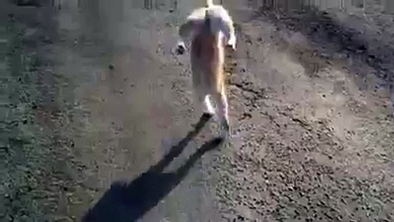 WWW.IZLEVIDEO.NET-İki Ayakları üzerinde yürüyen kedi -)