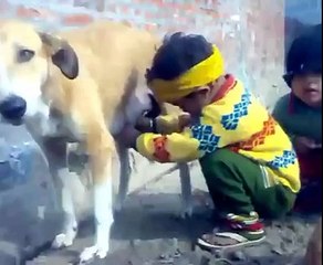 friendship children between dog