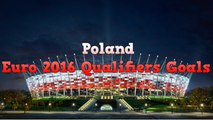 Poland - All 33 Goals Euro 2016 Qualifiers (HD)