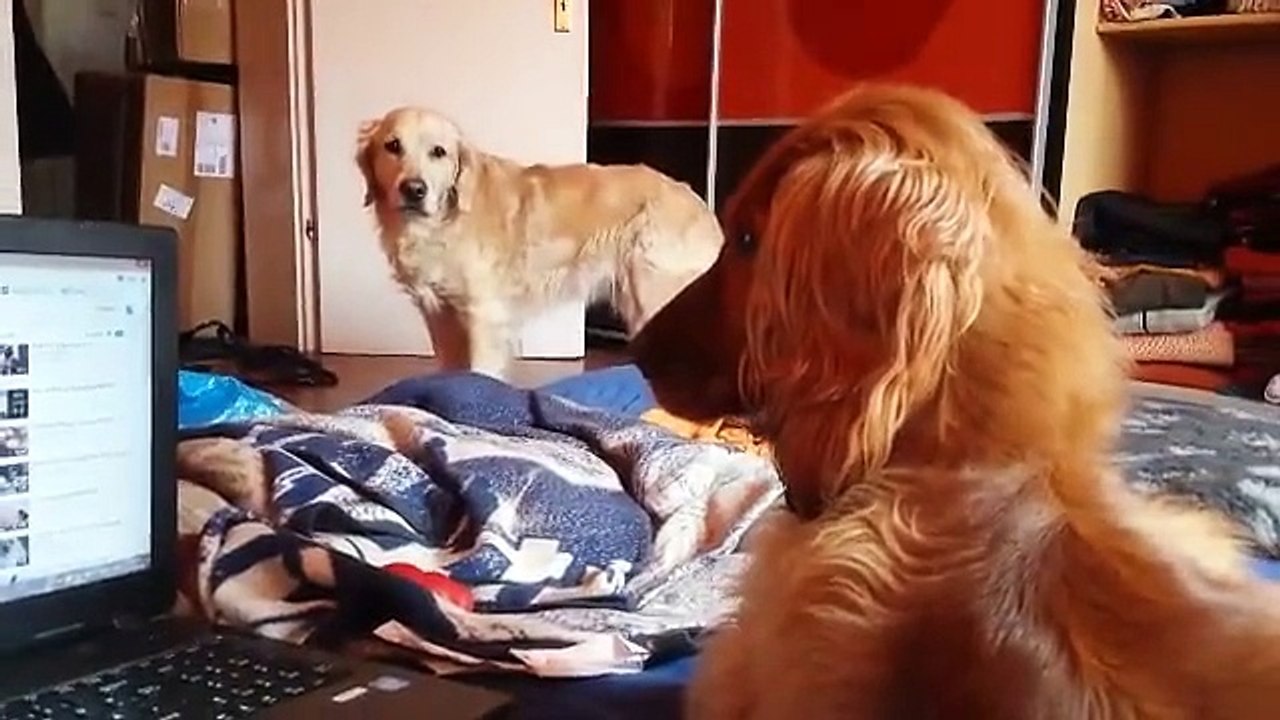 Naila schaut ein Video