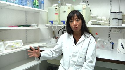Climat : quand les maladies tropicales arriveront en métropole