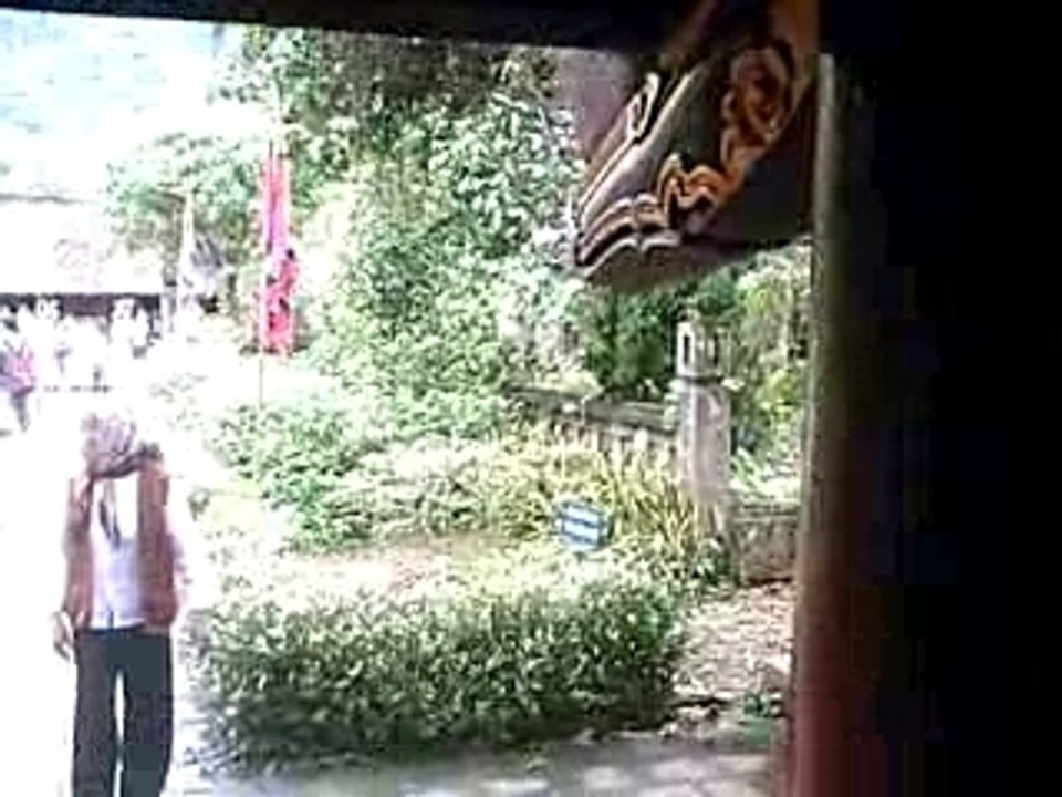 Hoa lu 4