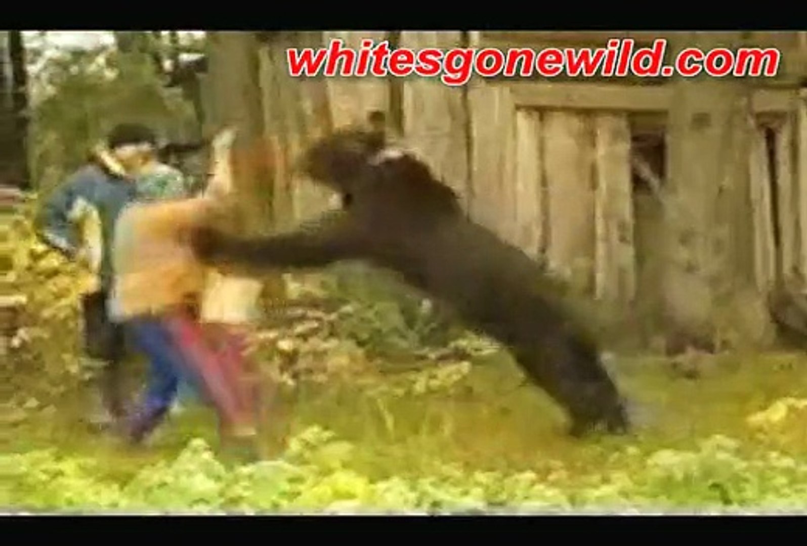 funny animals goes Animals wild