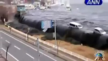 reality of this world   great video dailymotion
