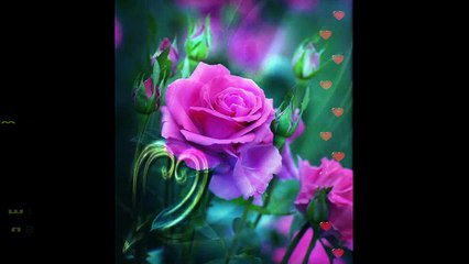 Natalia Kutyla - lepszy swiat