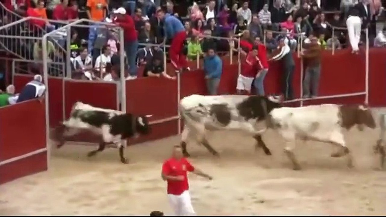 lễ hội bò tót và du khách