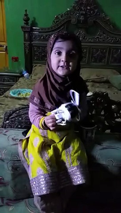 hasbi rabi