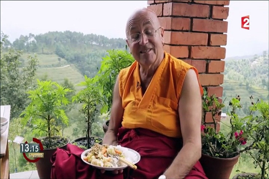 L'existence de Matthieu Ricard (2)