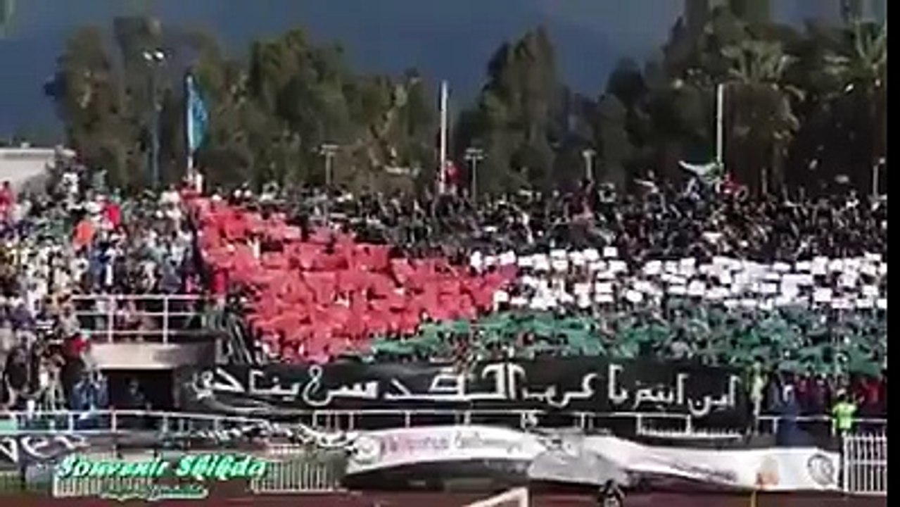 Les stades algériens toujours fidèles à la cause palestinienne !