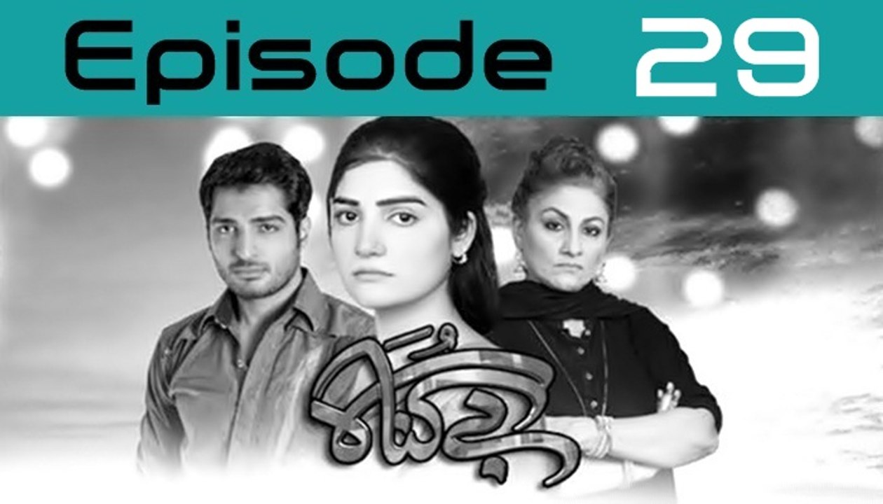 Bay Gunnah Episode 29 Full on ARY Zindagi