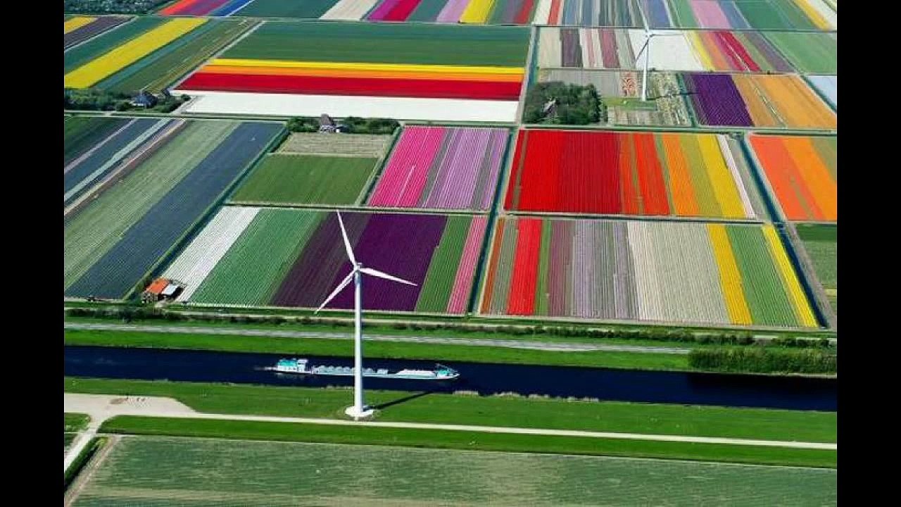 Fails - Oops - Right Moment Pics Compilation August 25, 2015