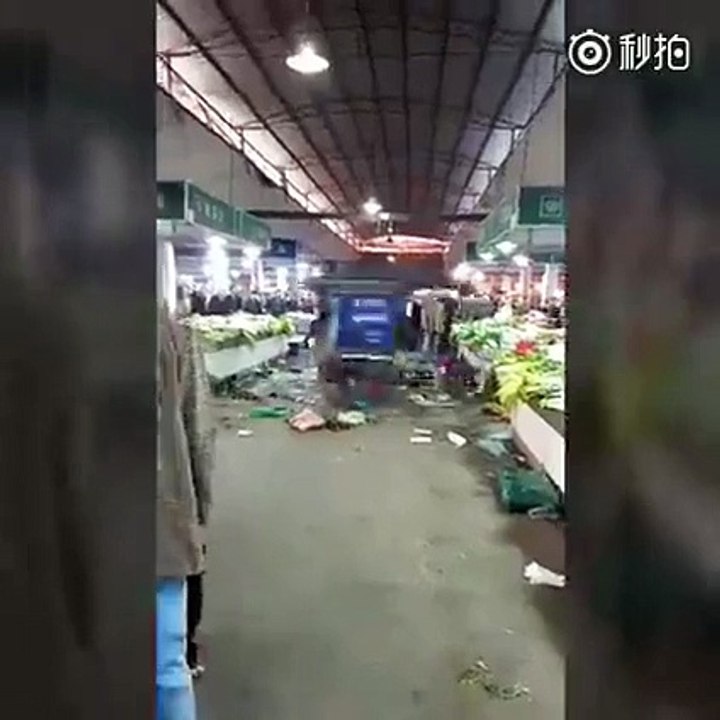 Xe điên.Chó sủa.Người xem???