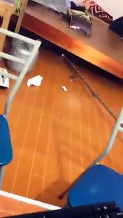 Sinh viên nửa đêm bắt rắn ngay dưới gầm giường bá cmn đạo