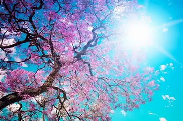 ALLAH(S.W.T) ki haibat job dil mai ati hai..-by Peer Zulfiqar sahb..