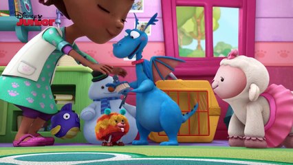 Pet Loving | Doc McStuffins: Pet Vet | Disney Junior UK