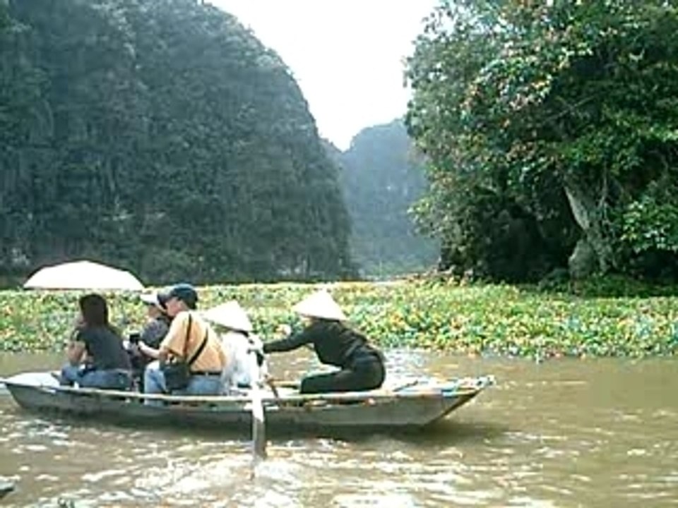 Hoa lu 11