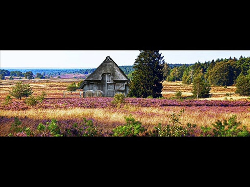 Abseits, theodor storm