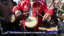 Bullfighting Nepalese style