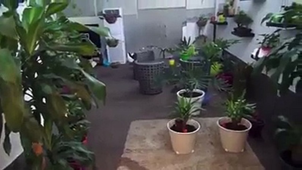 كويتي عامل خندق تفرج شنوا طلعوا منو يا معلم ملا مهبول