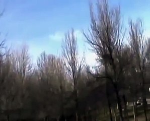 Какой Ужас !!! Орел Уташил Маленького Ребенка