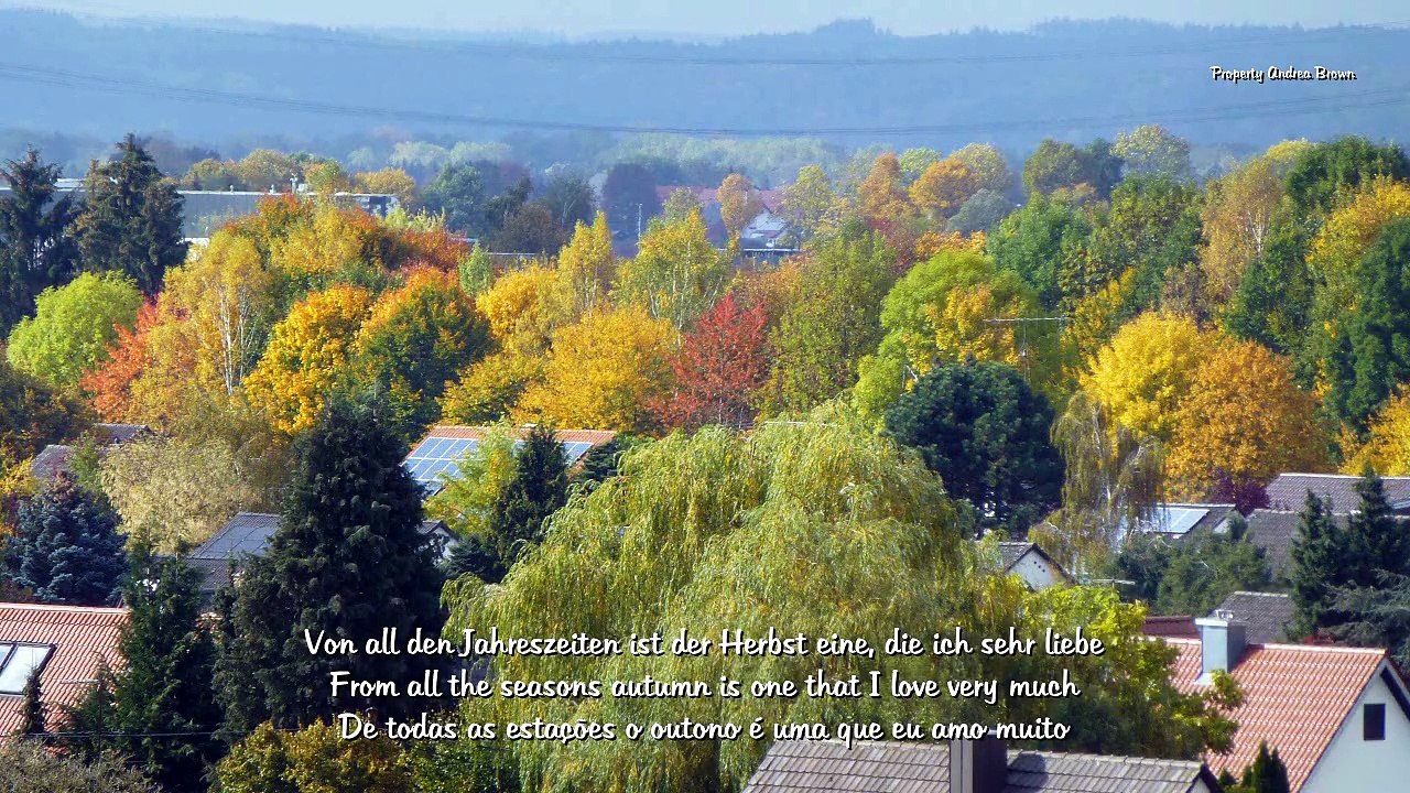 Igor Krutoy plays- Autumm Sonata