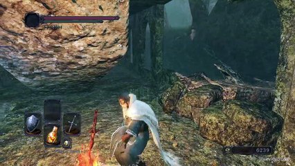 Dark_Souls2-Soluce-#30Bois_De_L'ombre_2