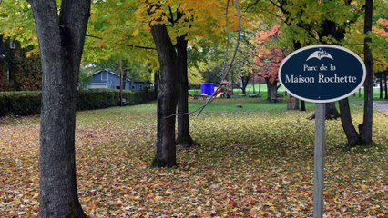 neuville rue des érables