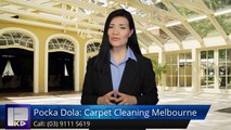 Pocka Dola: Carpet Cleaning Melbourne Camberwell Incredible5 Star Review by Ed C.