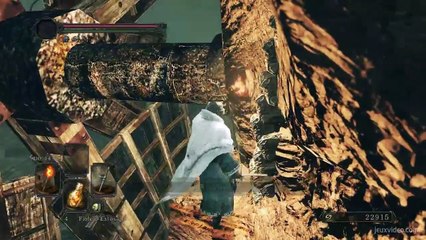 Dark_Souls2-Soluce-#21L'aguille_De_Terre_1