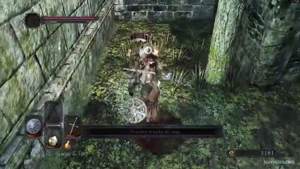 Dark_Souls2-Soluce-#4Forêt_Des_Géants_Défunts_3