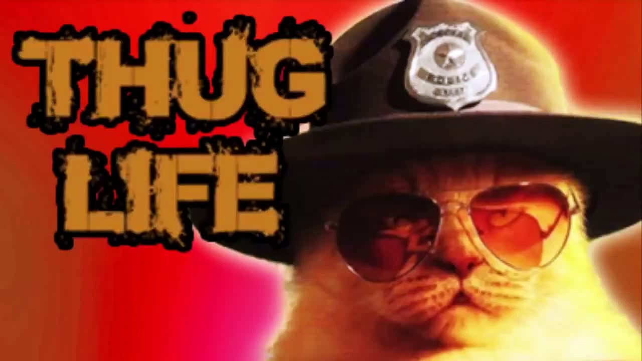 He Didnt HIT The Highway ! Hahaha funny