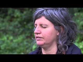 TV3 - Tocats de l'ala - Cants i reclams