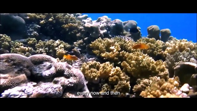 En Route..(a short documentary film for World Nomads Travel Scholarship 2015)